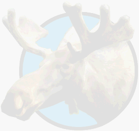 PTPW_2008/ui/moose/moose_watermark.gif