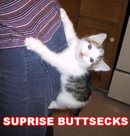 object_meta_programming_slides/slides/images/Surprise-buttsecks.jpg